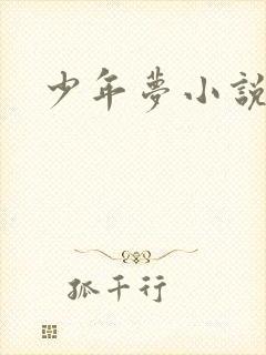 少年梦小说