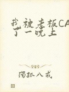 我被老板CAO了一晚上