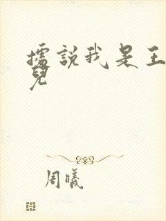 据说我是王的女儿封面