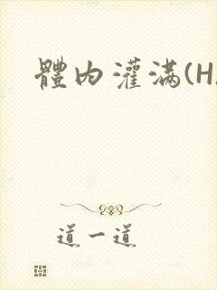 体内灌满(H)封面