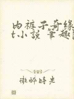 内裤子奇缘txt小说 笔趣阁封面