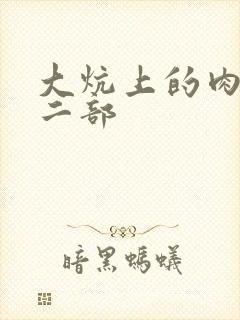 大炕上的肉伦第二部