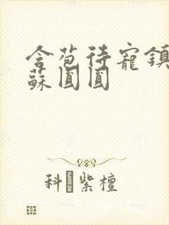 含苞待宠镇国公苏圆圆