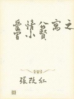 爱情公寓之极品曾小贤封面