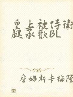 皇上被侍卫抵开腿承欢BL