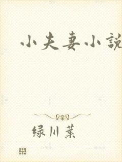 小夫妻小说