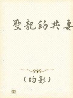 圣龙的共妻封面