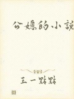 公媳的小说