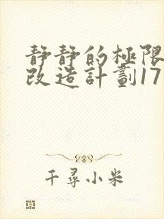 静静的极限自我改造计划17