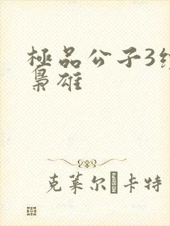 极品公子3续世枭雄