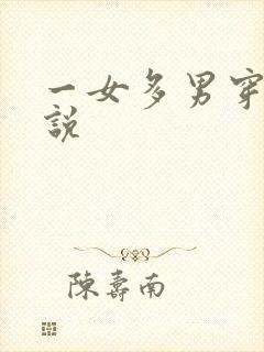 一女多男穿越小说封面