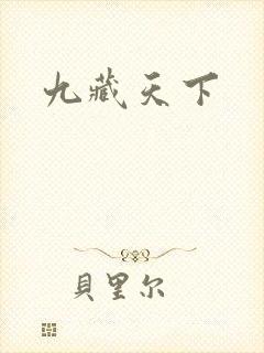 九藏天下