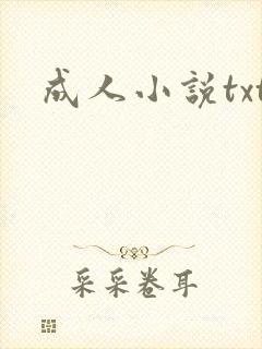 成人小说txt