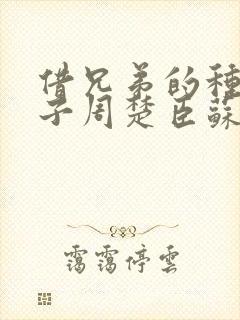 借兄弟的种生孩子周楚臣苏糖