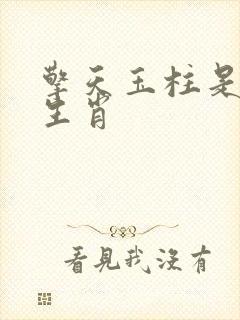 擎天玉柱是什么生肖封面