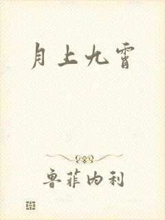 月上九霄封面