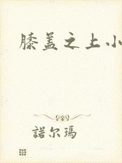 膝盖之上小说封面