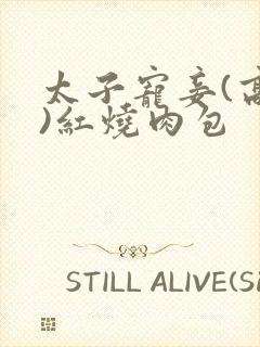 太子宠妾(高肉)红烧肉包封面