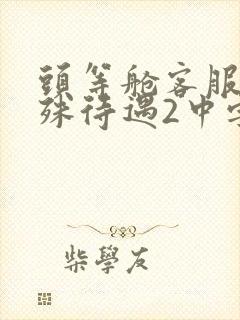 头等舱客服的特殊待遇2中字封面