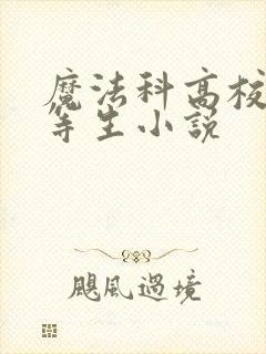 魔法科高校的劣等生小说封面