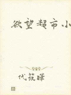 欲望超市小说