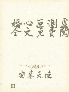 婚心叵测卢丹妮全文免费阅读小说封面