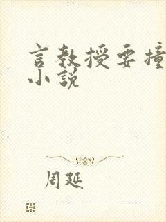 言教授要撞坏了小说