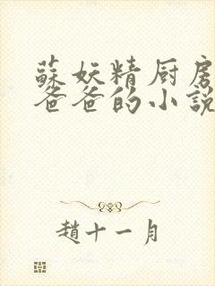 苏妖精厨房爹爹爸爸的小说