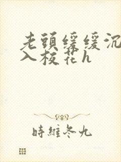 老头缓缓沉腰进入校花h