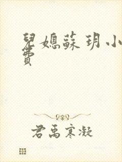 儿媳苏玥小说免费封面