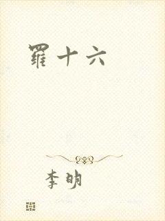 罗十六
