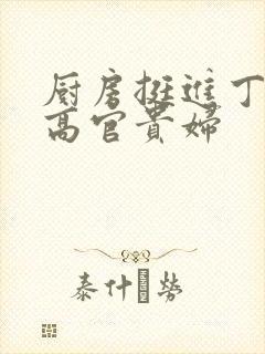 厨房挺进丁字裤高官贵妇