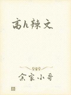 高h辣文