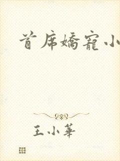 首席娇宠小情人