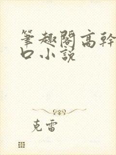 笔趣阁高干文入口小说