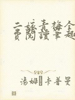 二嫁青梅全文免费阅读笔趣阁