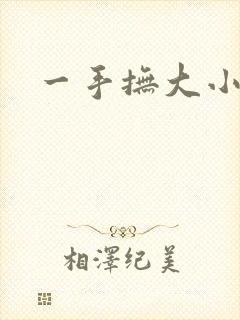 一手抚大小说封面