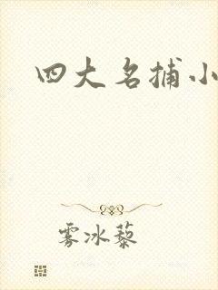 四大名捕小说