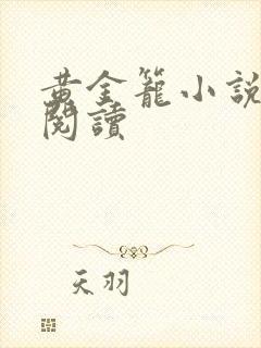 黄金笼小说免费阅读