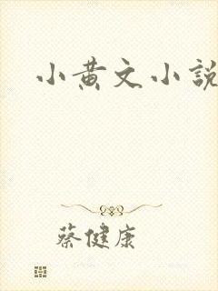 小黄文小说封面