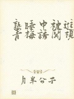 熟睡中被进了H青梅诱哄视频