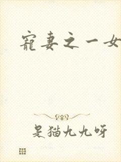 宠妻之一女二夫