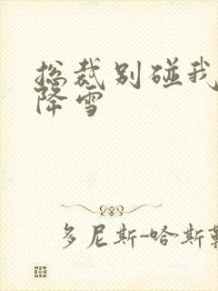 总裁别碰我 韩降雪