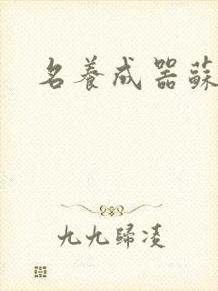 名养成器苏沫沫