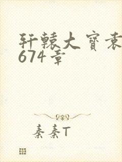 轩辕大宝袁雪妃674章