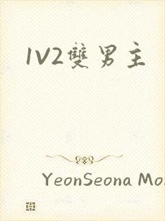 1V2双男主