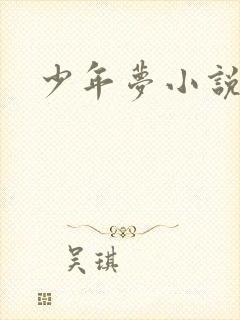 少年梦小说