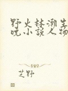 野火林潮生林晚晚小说人物野火