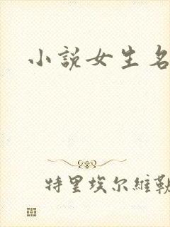 小说女生名字封面