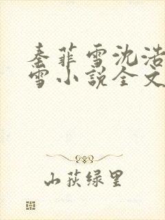 秦菲雪沈浩秦菲雪小说全文免费阅读求书